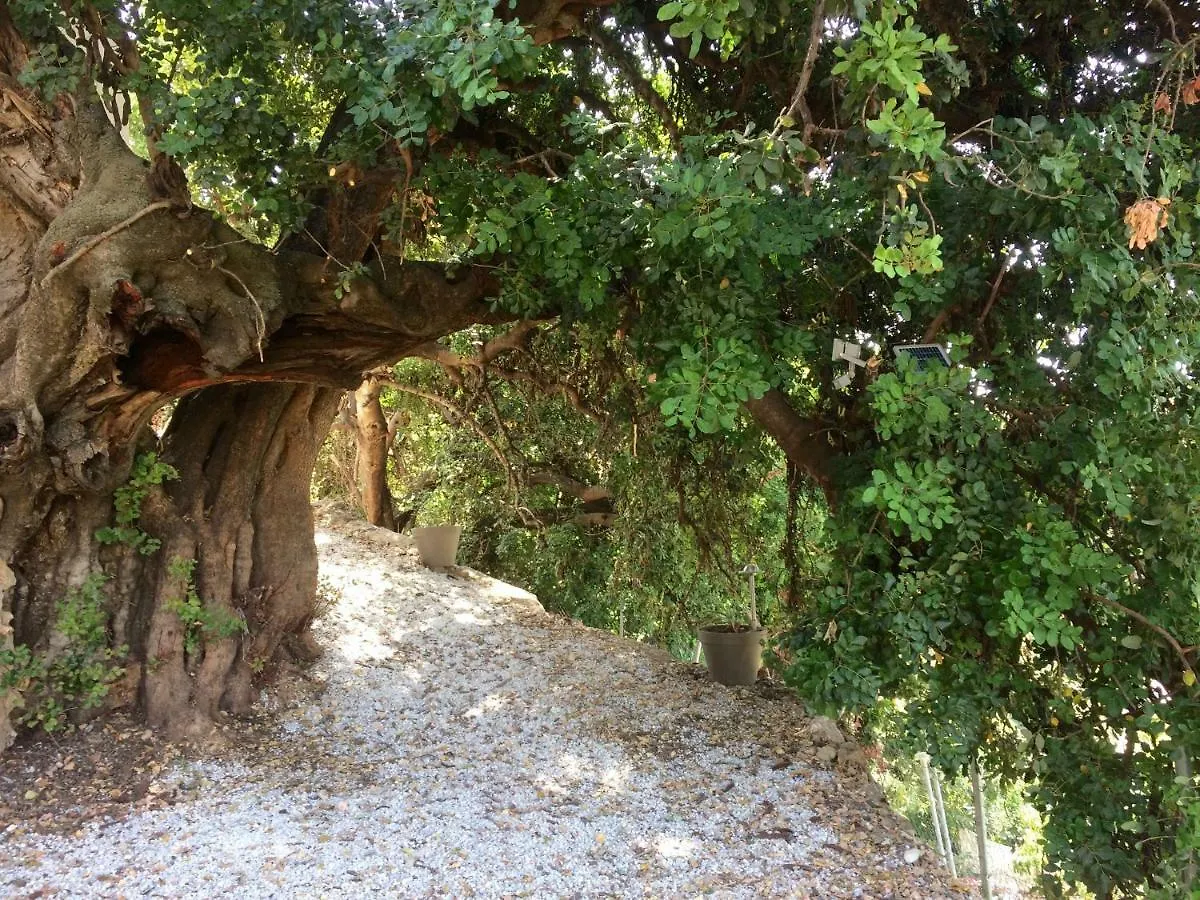 La Casa Turquesa Villa Frigiliana